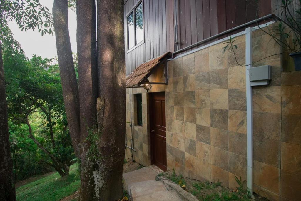 De Serenity - Exclusive Jungle Retreat Σερεμπάν Εξωτερικό φωτογραφία