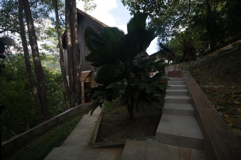 De Serenity - Exclusive Jungle Retreat Σερεμπάν Εξωτερικό φωτογραφία